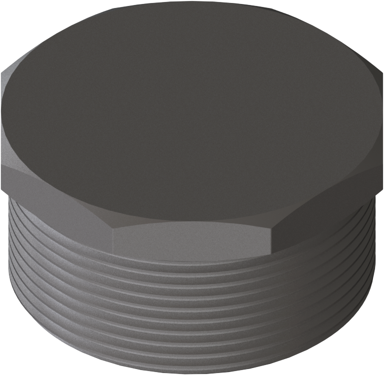 Mounting Adapter Plug-threaded SS G2m